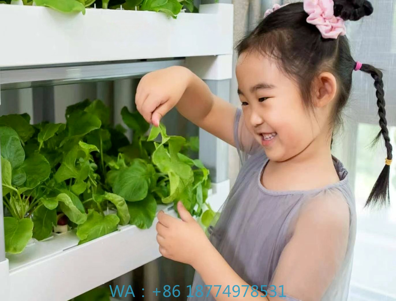 nt China Hydrokultur Grow Box  – Diy Home Automation System Bewertung und Preis