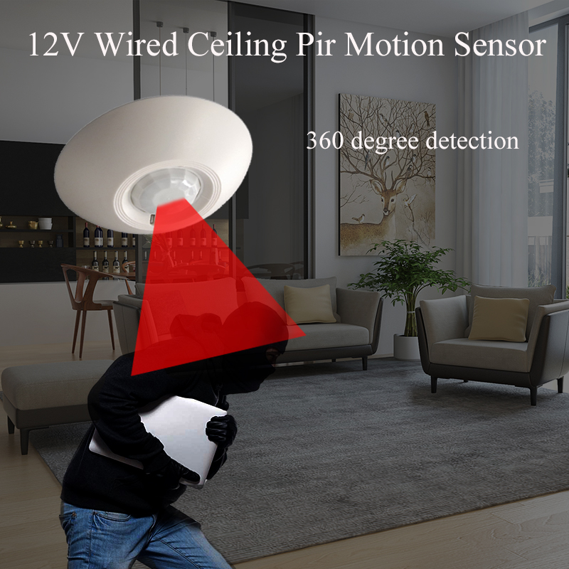 12V Wired PIR Motion Sensor Ce – Motion Sensor Pir Wired Bewertung und Preis