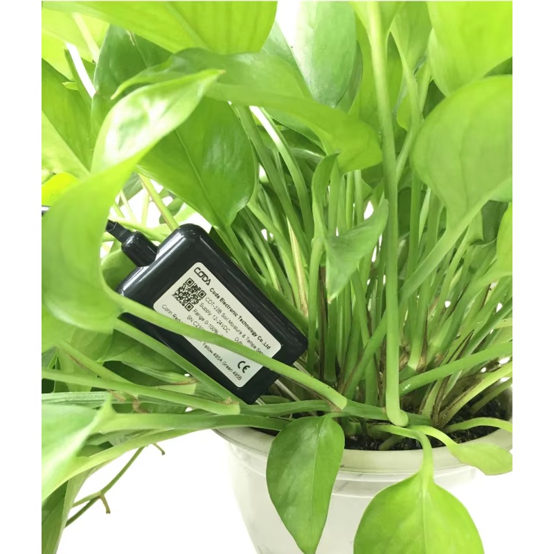 RS485 4-20mA Portable Soil Moi – Temperature Humidity Sensor Bewertung und Preis