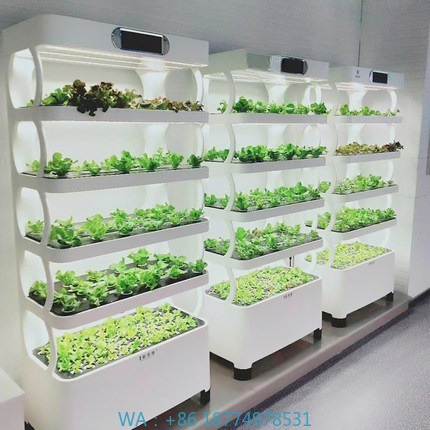 Iydroponic Automated Grow Syst – Diy Home Automation System Bewertung und Preis