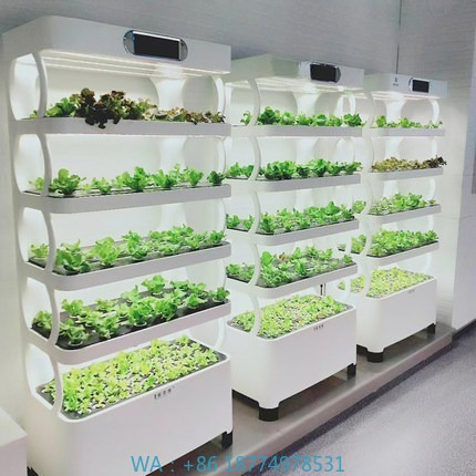 Hydroponic Automated Grow Syst – Diy Home Automation System Bewertung und Preis